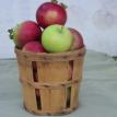 Basket of Delicious Apples